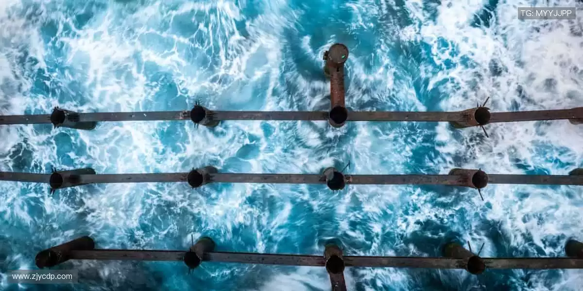 超清画质，流畅如临现场！📱⚽ 体育直播，让观赛成为享受！